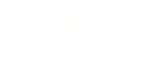 Muebles Alfombras Autos